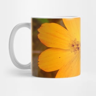 Sulfur Cosmos Mug